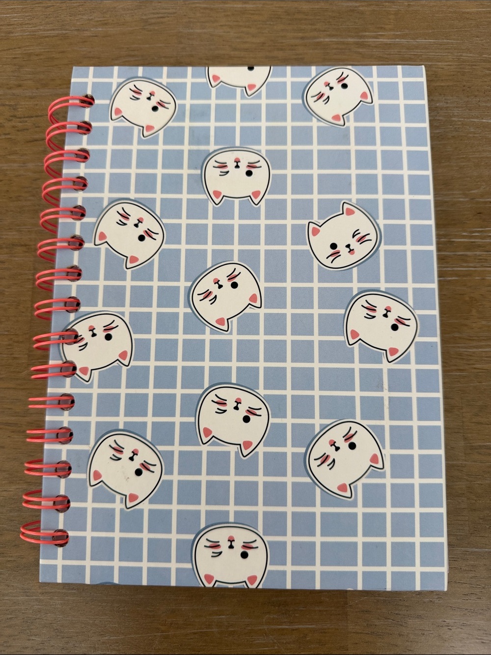 Cute Cat Spiral Notebook in Light Blue and Pink NWOT